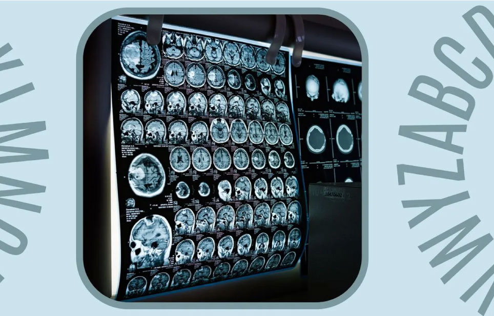 Eugenio Coronado discusses brain-inspired electronic devices on À Punt’s L’...