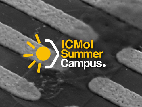 ICMol Summer Campus...